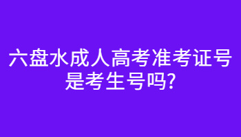 六盤水成人高考準考證號是考生號嗎?