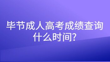 畢節(jié)成人高考成績查詢什么時間?