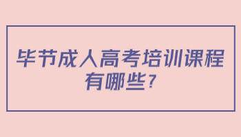 畢節(jié)成人高考培訓(xùn)課程有哪些?
