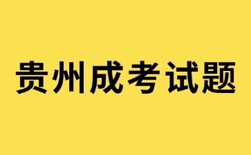 2024年貴州成考高起點《語文》模擬試題(9)